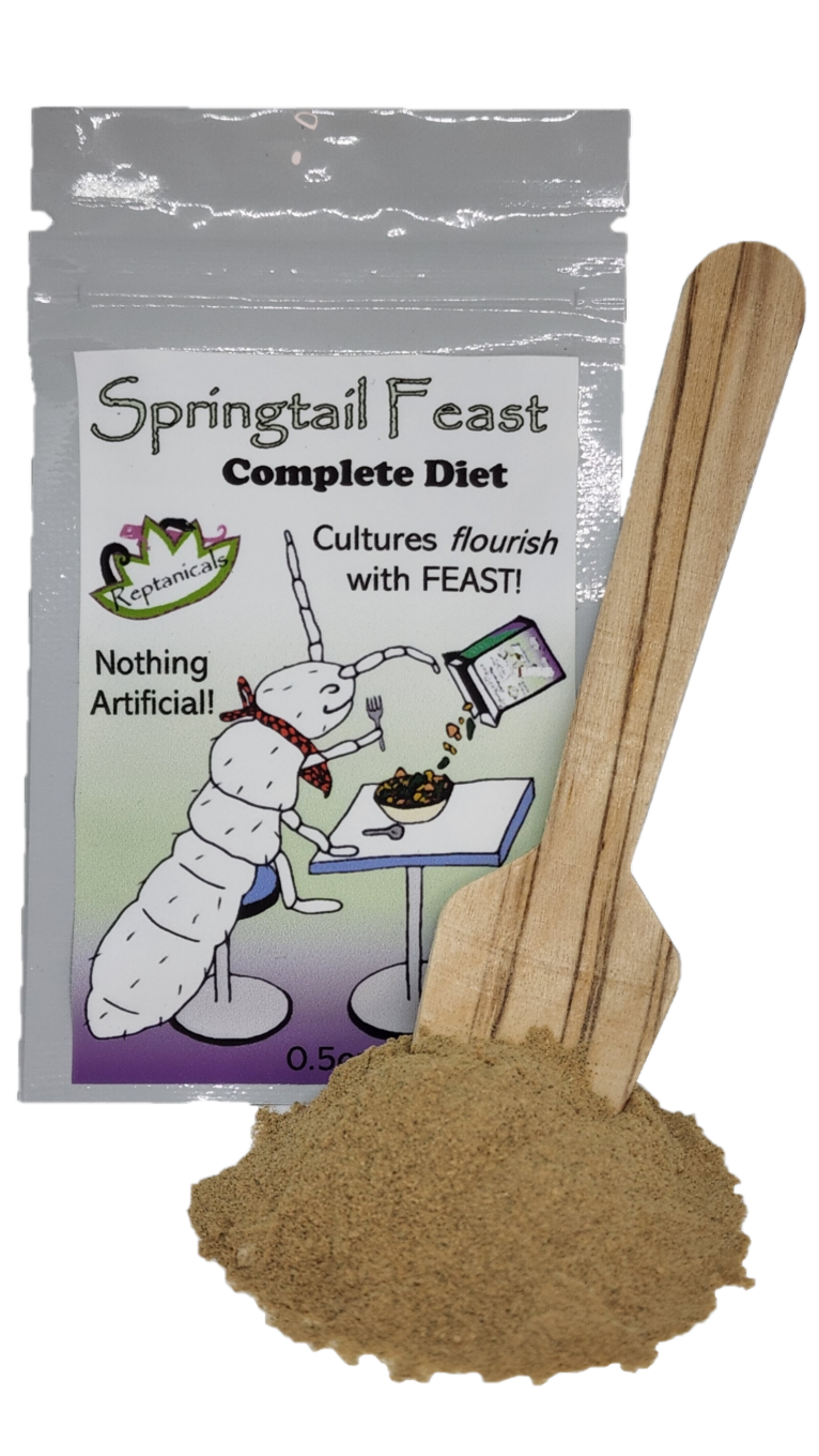 REPTANICALS Springtail Feast Food