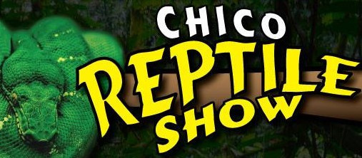 Chico Reptile Show Reptanicals Healing Salve